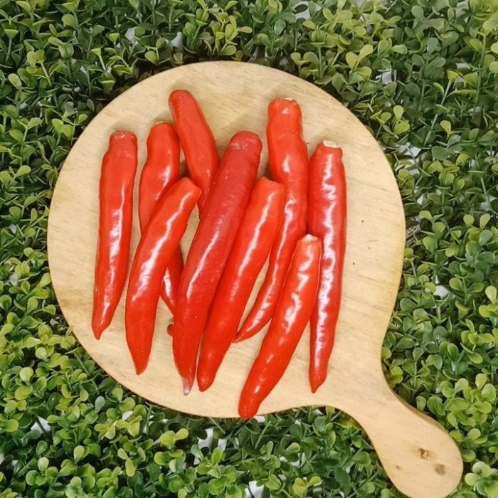 

Rumah Sayur Cabe Merah Besar PETIK 250 Gram
