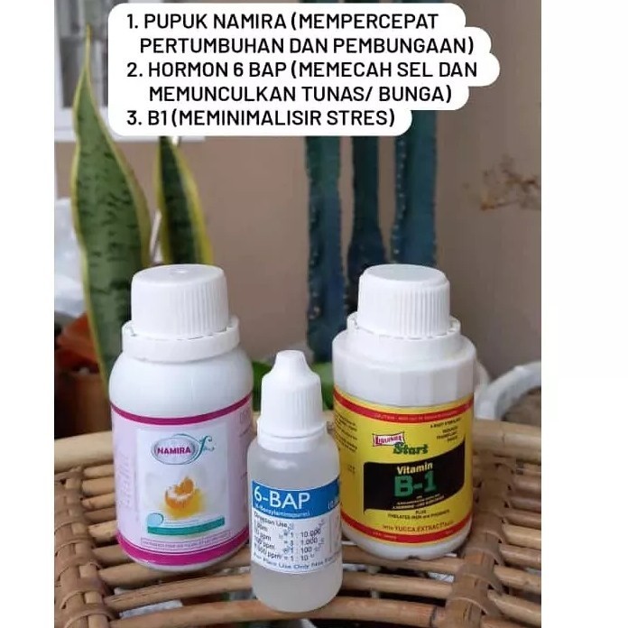 Paket Pupuk Namira, B1 dan 6bap Biru untuk perawatan anggrek
