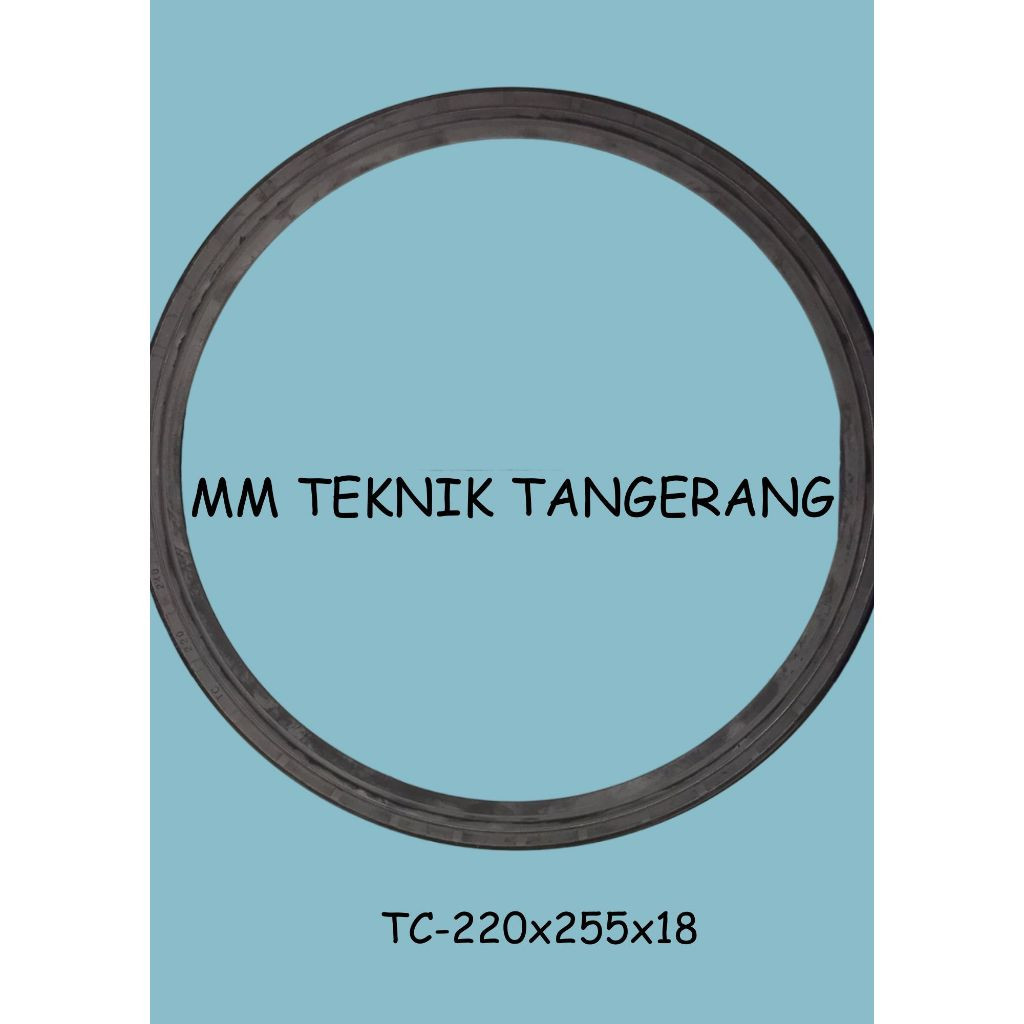 Oil seal TC 220x255x18 220 x 255 x 18 karet oli sil shock breaker 220 255 18