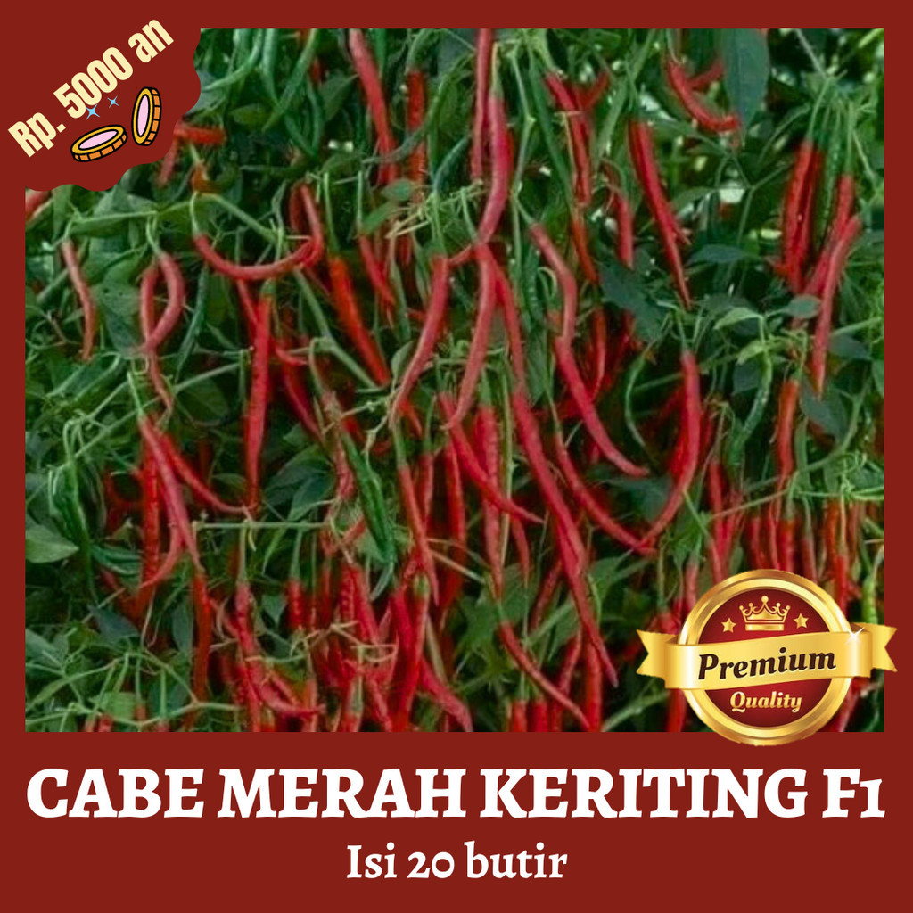 Benih Bibit Sayuran Cabe Keriting Hibrida Tahan Virus 20 Butir Super Tahan Penyakit