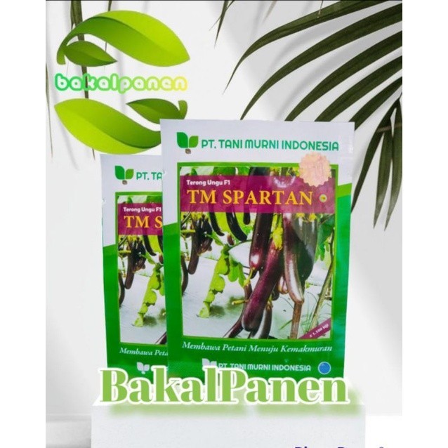 Benih bibit terong ungu hibrida TM SPARTAN F1 isi 1.100biji