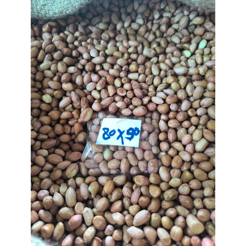 Kacang Tanah @ 1 KG