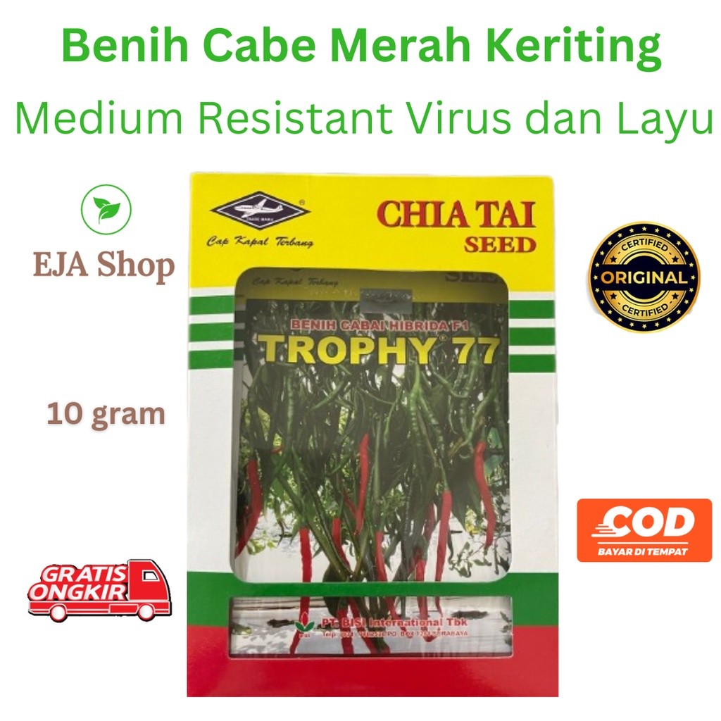 Benih Cabe Merah Keriting TROPHY 77 F1 Cap Kapal Terbang Bibit Cabai CMK Tropi Kriting Trophi Chia T