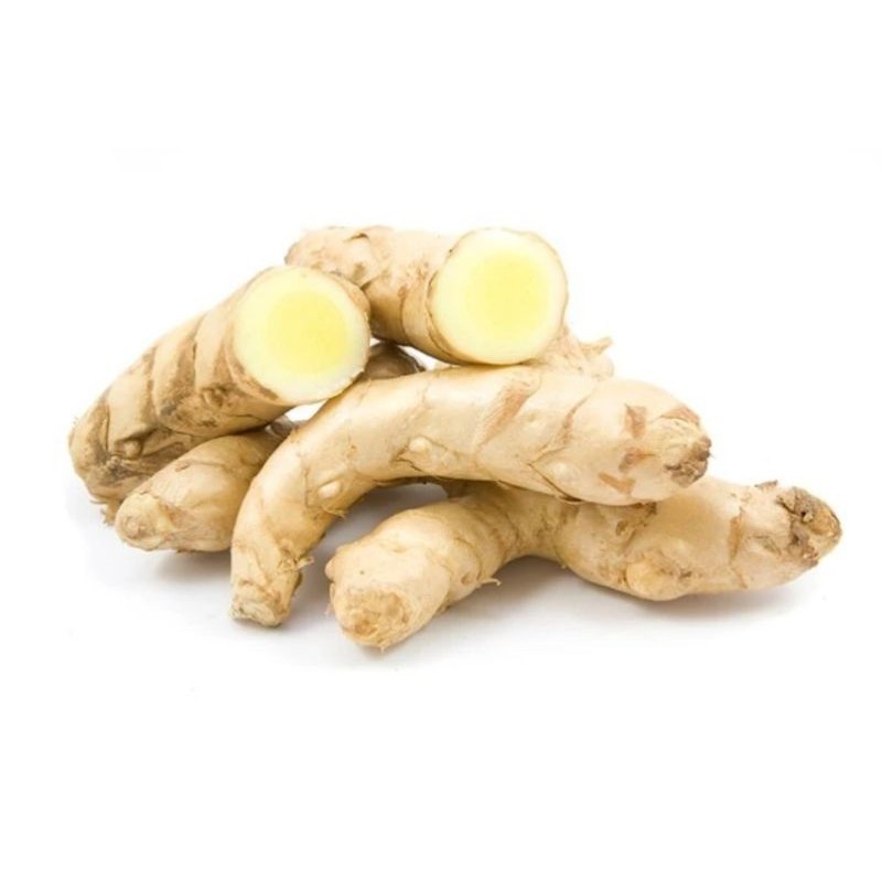 

kunyitputih/temuputih