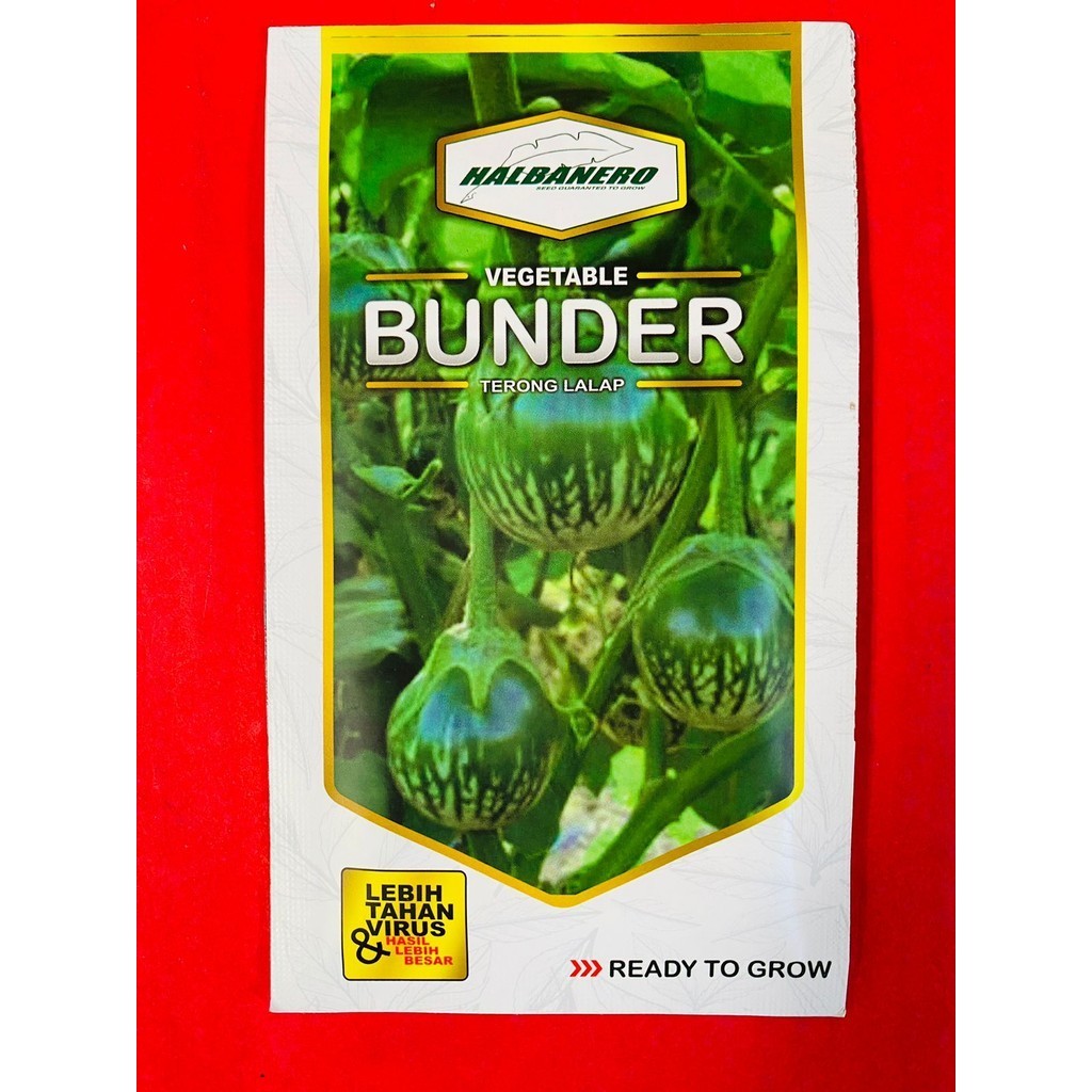 Benih Terong Lalap BUNDER berat isi 10 gram dari HALBANERO