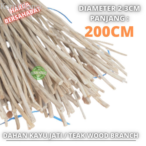 

[ Promo ] Teak Wood Branch 200 dahan ranting kayu jati macrame craft murah