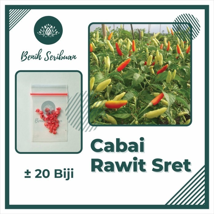 20 Bibit Cabe Rawit Sret Benih Cabai Rawit Merah Setan Sayuran Unggul - CABE RAWIT SRET