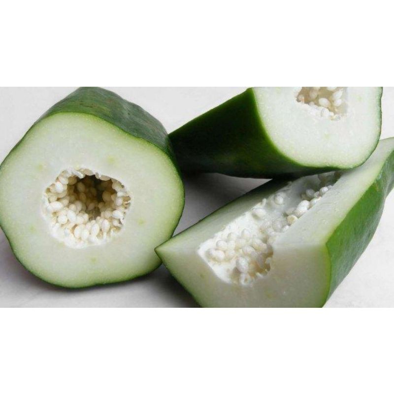 

Buah Pepaya Muda Pepaya Sayuran (+1kg)