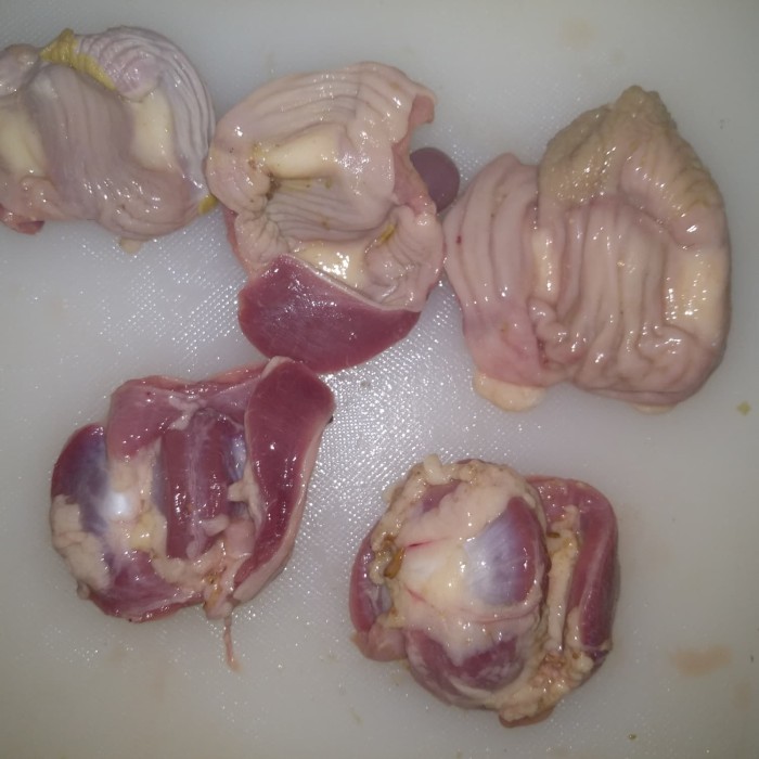 

Ampela Ayam SUDAH DI BERSIHKAN [ ORDER 1-PCS]