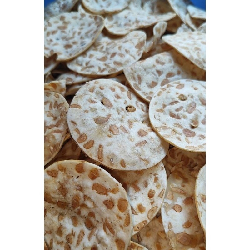

KERIPIK TEMPE SAGU 500 GR
