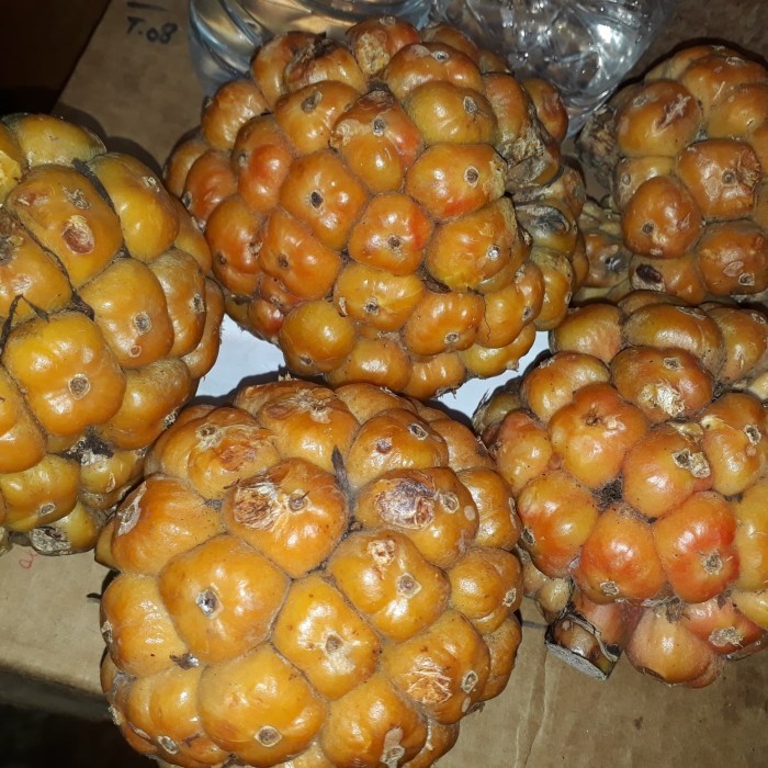 

Asam Cikala/Patikala