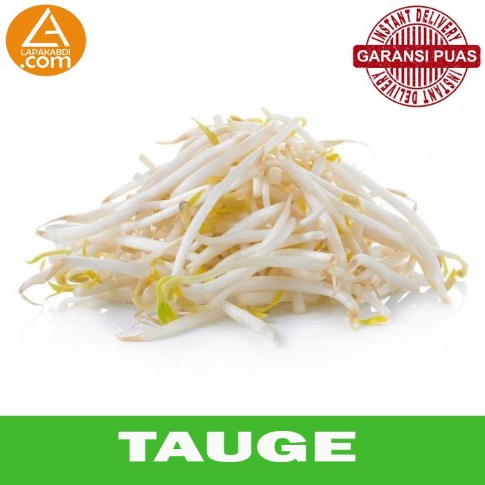 

Tauge 250gr Sayur Segar Garansi Termurah