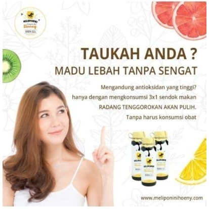 

Madu Meliponini Stingless Bee Honey 500 ml Madu Propolis