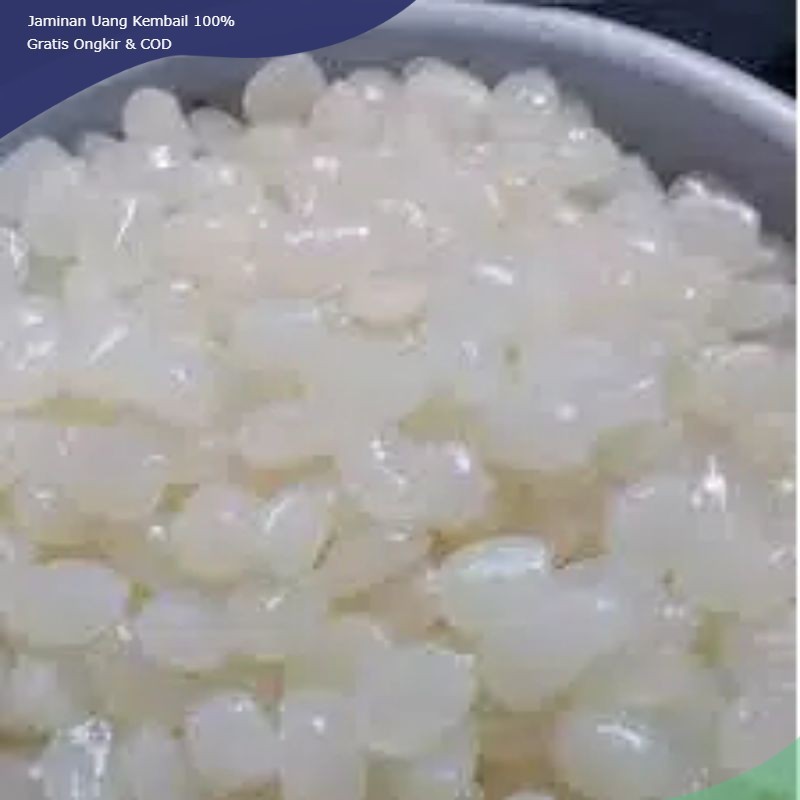 

Kolang kaling mentah 500 gram kolang kaling fresh/caruluk/cangkaleng