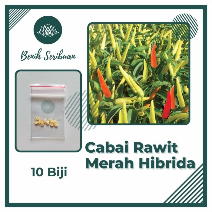 10 Bibit Cabe Rawit Hibrida F1 Lentera Benih Cabai Rawit Merah Setan - CR MERAH HIBRID