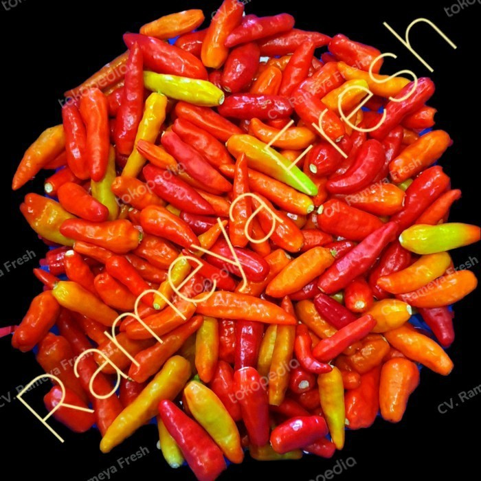

Cabe Rawit Merah 500 gr petik