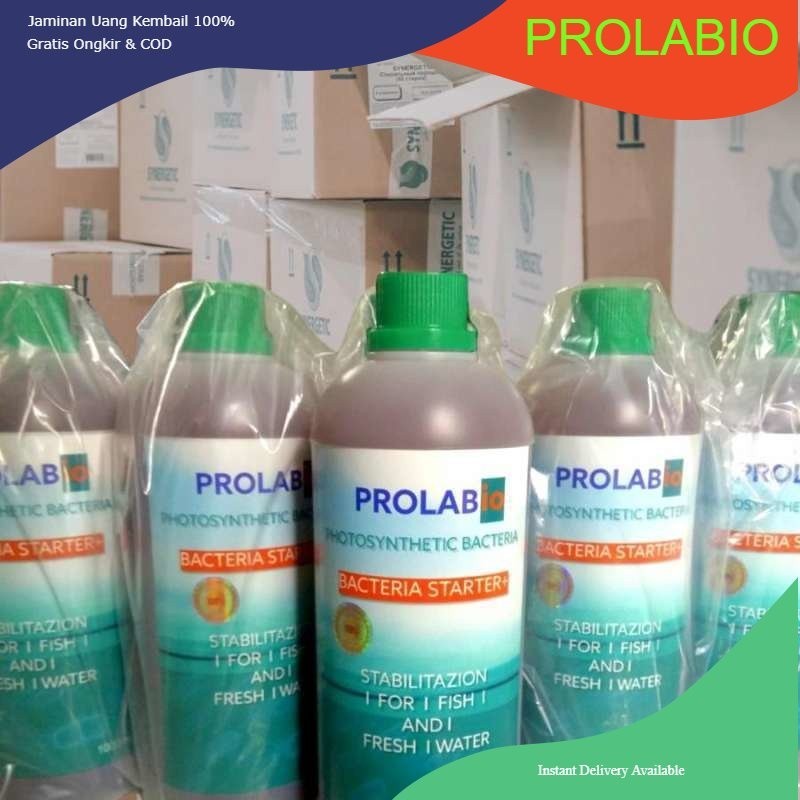 bakteri/bakteri starter/ bakteri cair/bakteri kolam akuarium1 liter