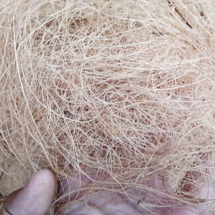 Sabut kelapa cocofiber 1KG