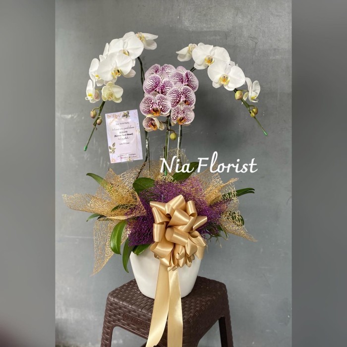 

[Terlaris] Hampers Imlek Bunga Anggrek