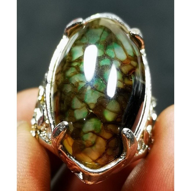 Batu akik asli sulaiman sisik naga