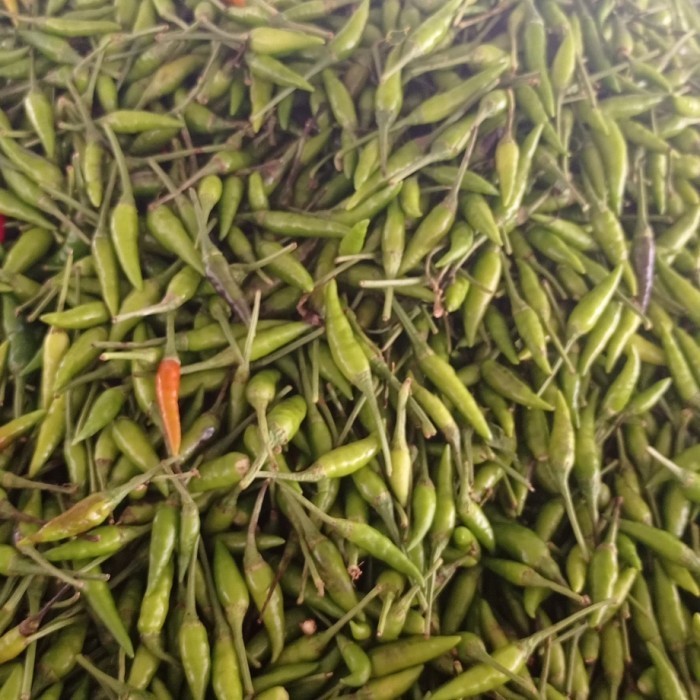 

cabe rawit hijau caplak/gorengan 1kg