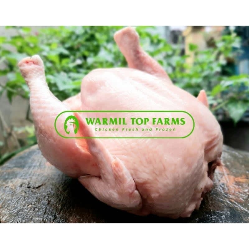 

Ayam Utuh Daging Ayam Potong Segar Fresh Frozen Chicken Murah