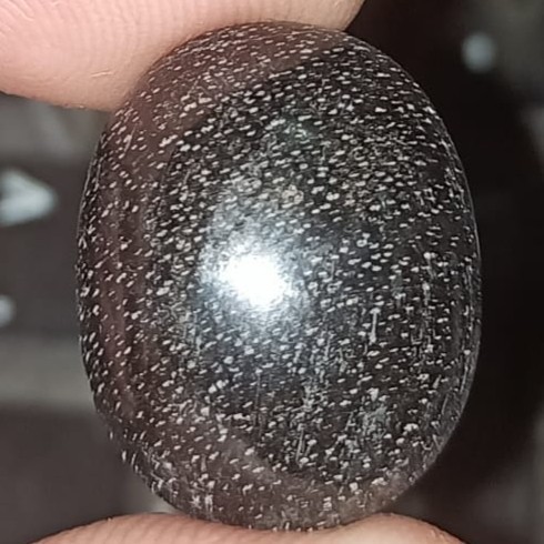 Natural Batu Akik Motif Gambar Fosil Kayu Kelor Hitam Black Unik Antik