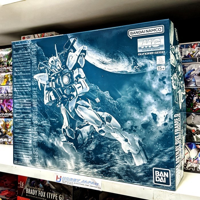 MG Gundam Astray Out Frame Outframe D