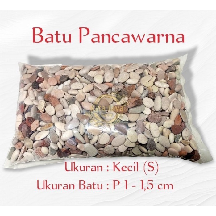Batu Pancawarna 1KG Hiasan Aquarium Aquascape Taman  Kecil