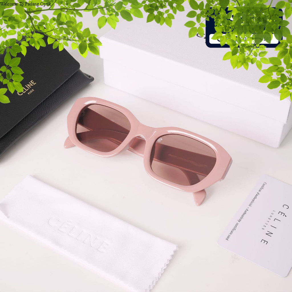 Sunglasses Celine / Kacamata Celine Cl89113