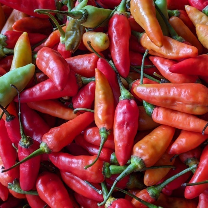 

Cabai Cabe Rawit Merah ALAMI Natural Red Bird Eye Chili 250 gr - 1 kg
