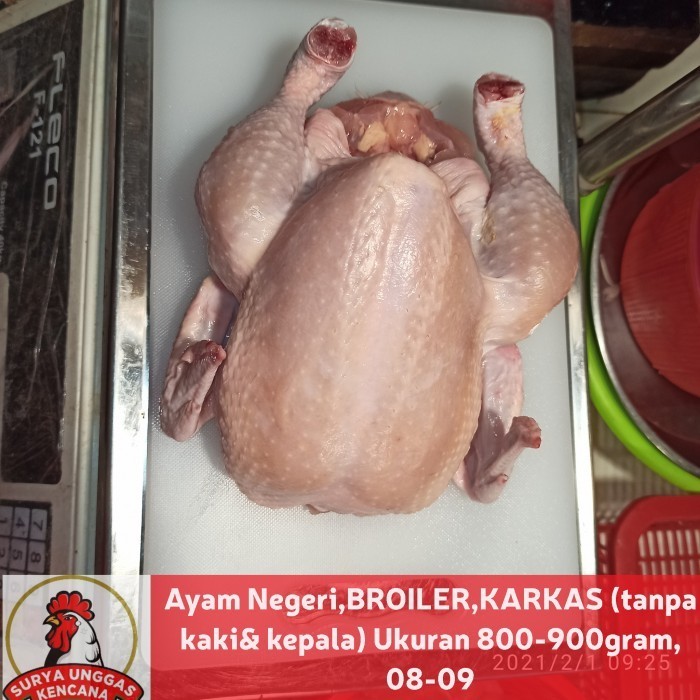 

Ayam Negeri KARKAS (tanpa kaki& kepala) Ukuran 800-900gram, 08-09