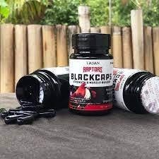 JUAL RAPTORS RAPTOR BLACKCAPS 30 KAPSUL 1 BOTOL VITAMIN DOPING AYAM ADUAN BUKAN IMPORT V22 B50 FORTE