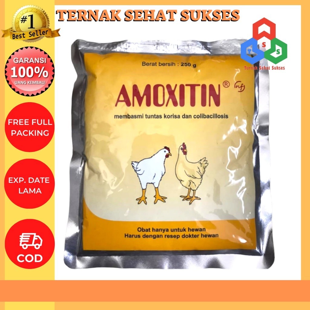 Amoxitin 250 gram MEDION obat korisa TSS1