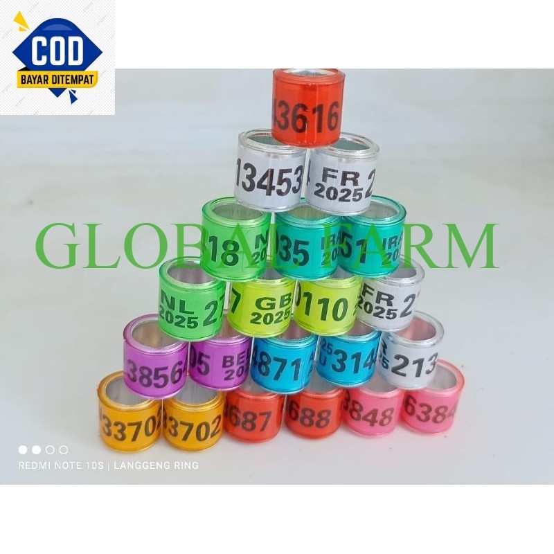 RING BURUNG MERPATI POS 2025