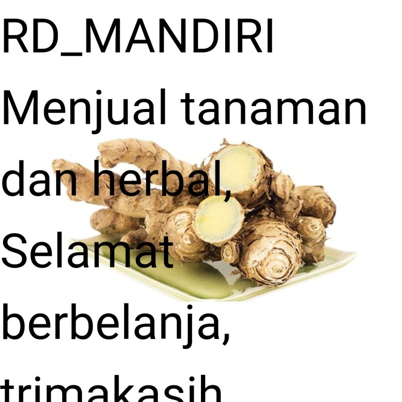 

HERBAL ALAMI Ready Kunyit hitam 1kg temu ireng hitam segar basah Herbal