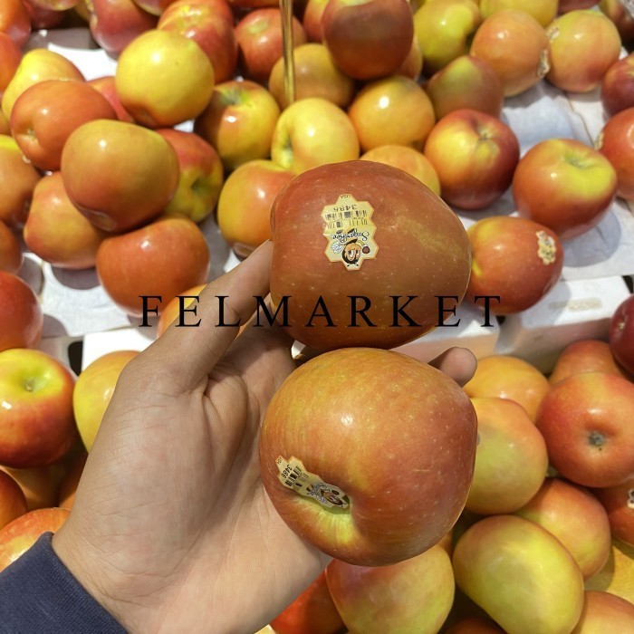 

Apel Sugar Bee Import Usa / Buah Apel Sugar Bee / 1 Kg