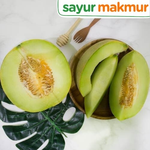 

Melon Sky Rocket Konvensional 1 pcs Sayurmakmur