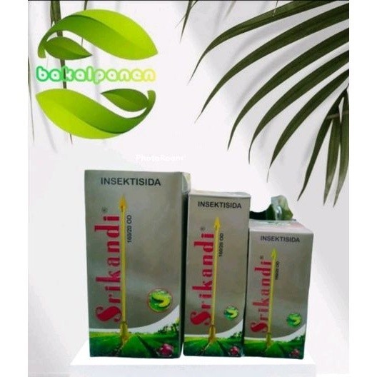 Insektisida obat hama belka Srikandi 50ml, 100ml & 250ml