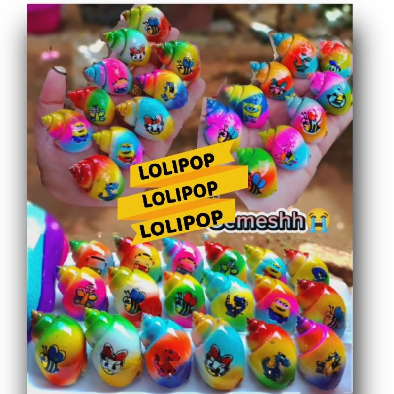 cangkang warna lolipop kelomang