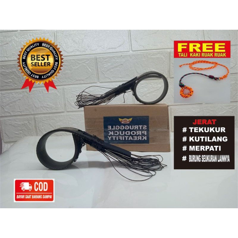 Jerat Burung Tekukur Efektif | Perangkap Tekukur Tradisional & Modern