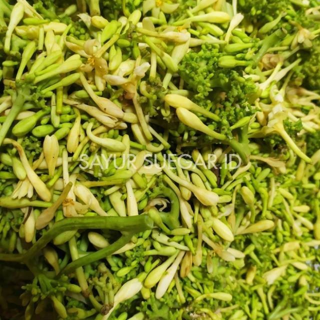 

Bunga pepaya/500 gram