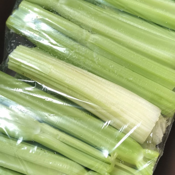 

Celery Stick seledri stik China 1kg - seledri