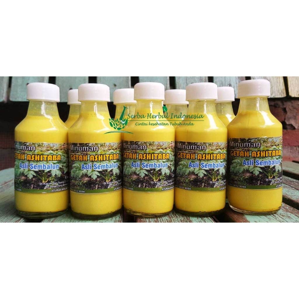 

Obat Diabetes Dan Asma Getah Ashitaba Paling Ampuh