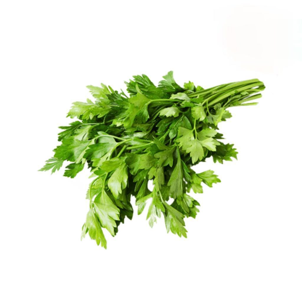 

Daun Seledri/Seledri 100gr