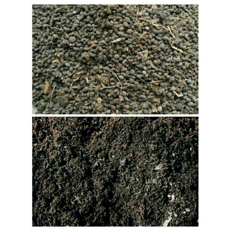 Pupuk Kandang Kohe Kambing