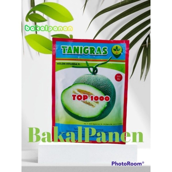 bibit benih melon hibrida f1 tanigras TOP 1000 isi 500 biji