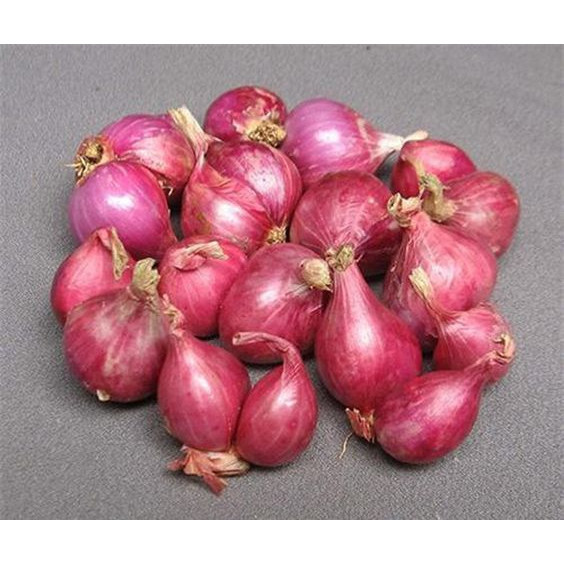 

Bawang Merah Brebes