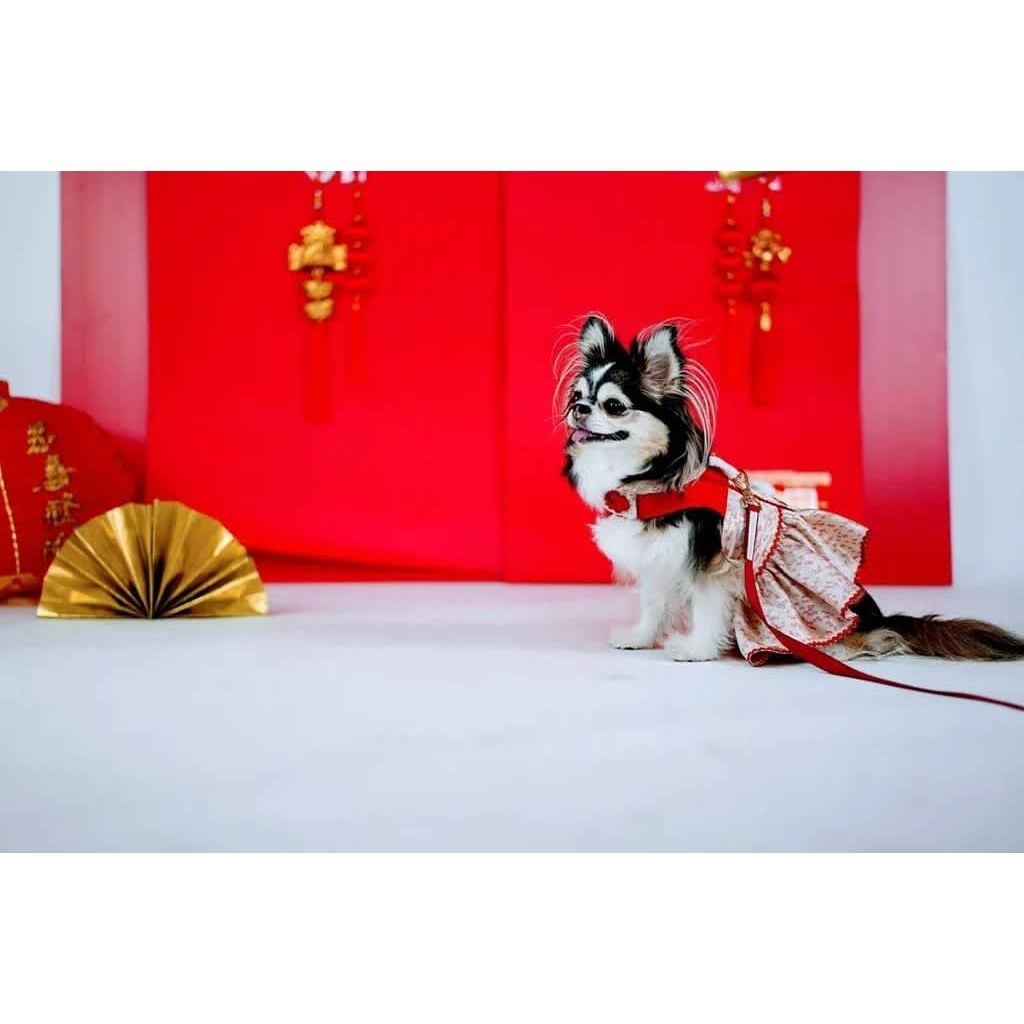 Harness anjing kucing tali tuntun import - CNY COUPLE GOLDEN ORIENTAL BRAID Glitter Pooch