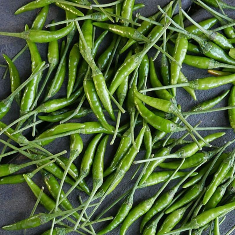 100 Biji - Benih cabe rawit PELITA 8 F1